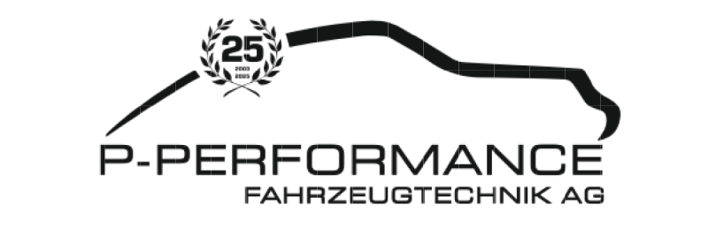 p-performance.png